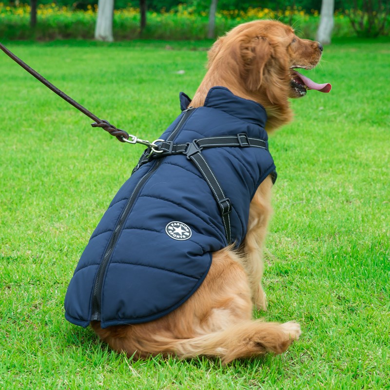 Windproof Waterproof Softshell Dog Coat Harness And Leash