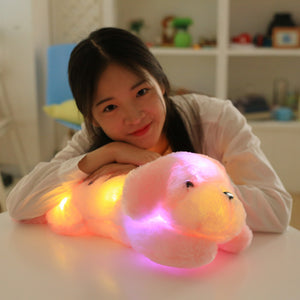 Plush Toy Dog Creative Light Colorful  gifts