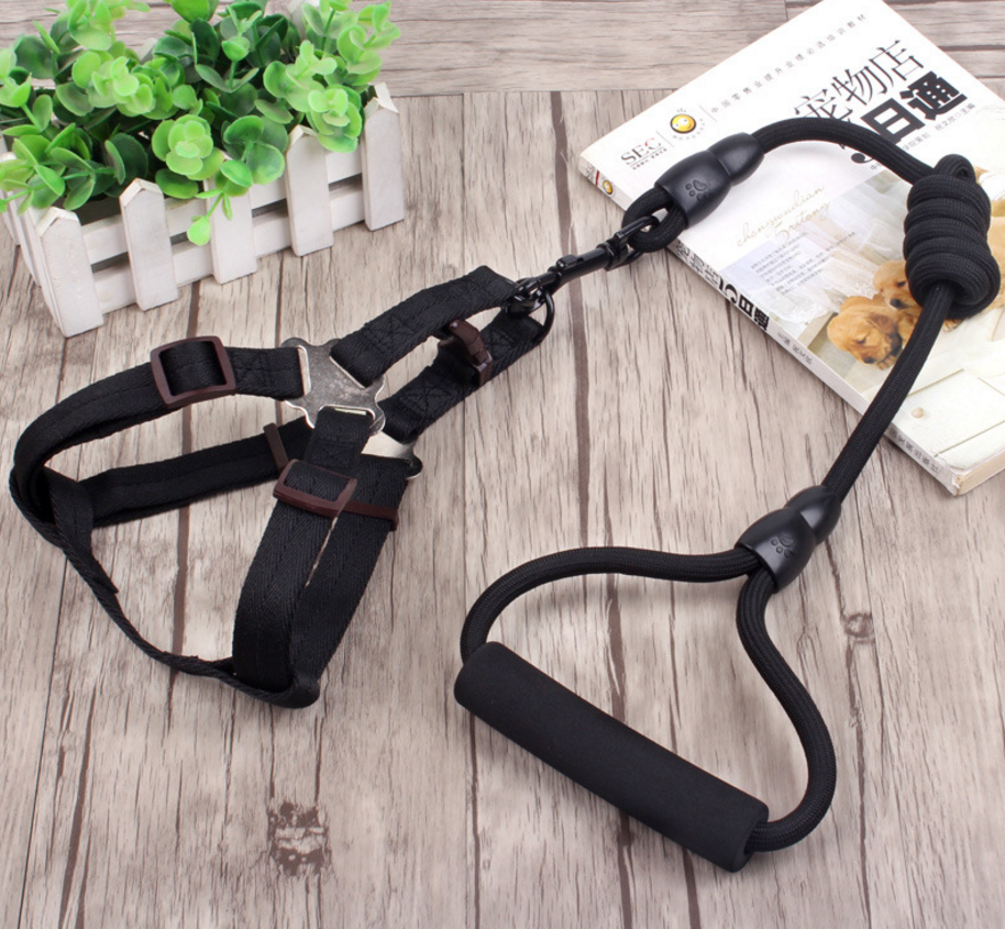 Dog Harness Soft Adjustable with Rope Leash