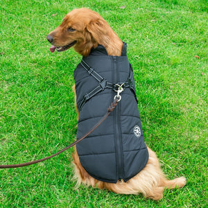 Windproof Waterproof Softshell Dog Coat Harness And Leash