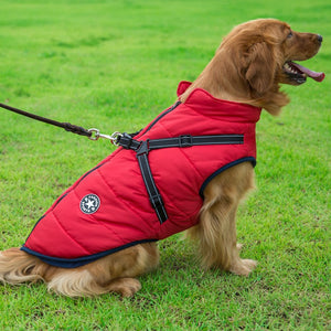 Windproof Waterproof Softshell Dog Coat Harness And Leash