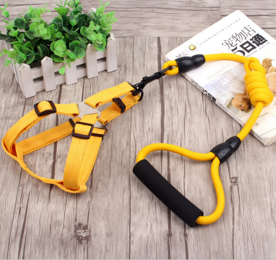 Dog Harness Soft Adjustable with Rope Leash