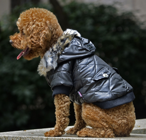 Dog Winter Coat Hoodie