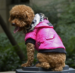 Dog Winter Coat Hoodie