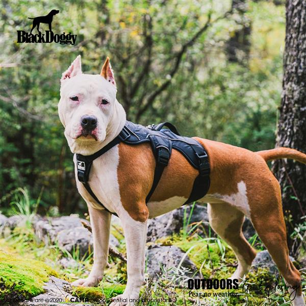 Professional Dog Harness Adjustable Pet Body Harness Vest Visible at Night Outdoo