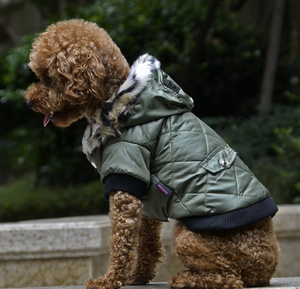 Dog Winter Coat Hoodie