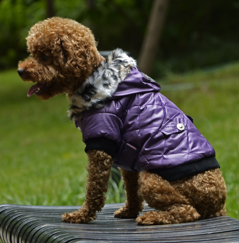 Dog Winter Coat Hoodie