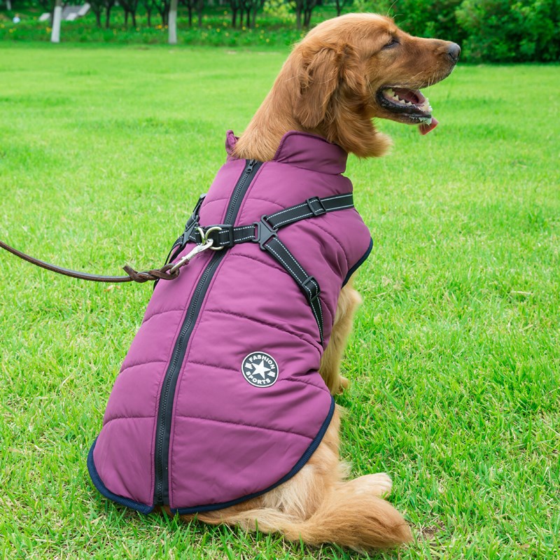 Windproof Waterproof Softshell Dog Coat Harness And Leash