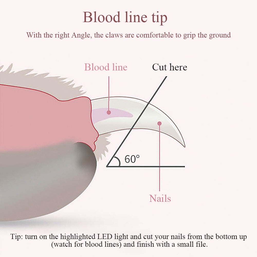 Pet Dog Nail Clipper with LED Light Stainless Steel Scissors Cat Nail Cutter Clippers Trimmer Grinder Professional Grooming Tool