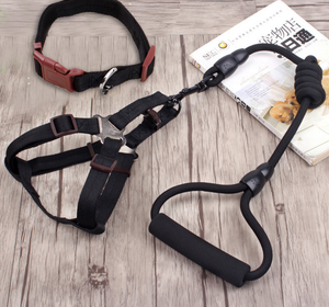 Dog Harness Soft Adjustable with Rope Leash