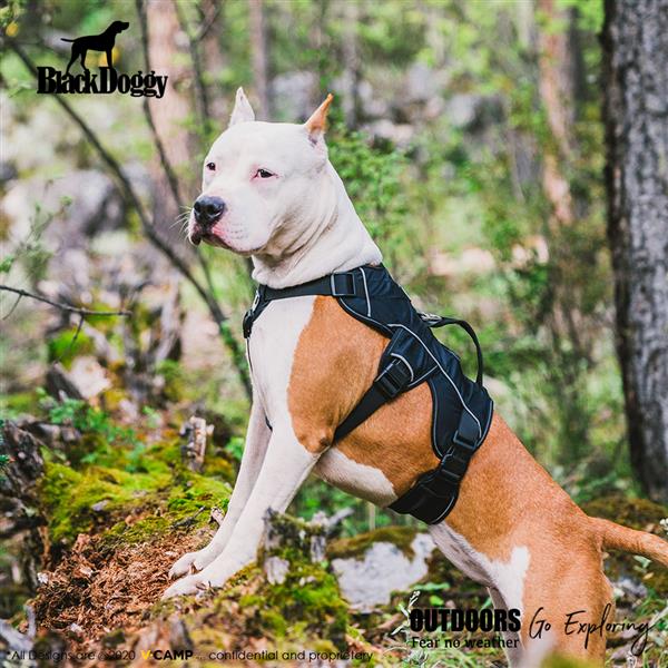 Professional Dog Harness Adjustable Pet Body Harness Vest Visible at Night Outdoo