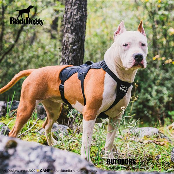 Professional Dog Harness Adjustable Pet Body Harness Vest Visible at Night Outdoo