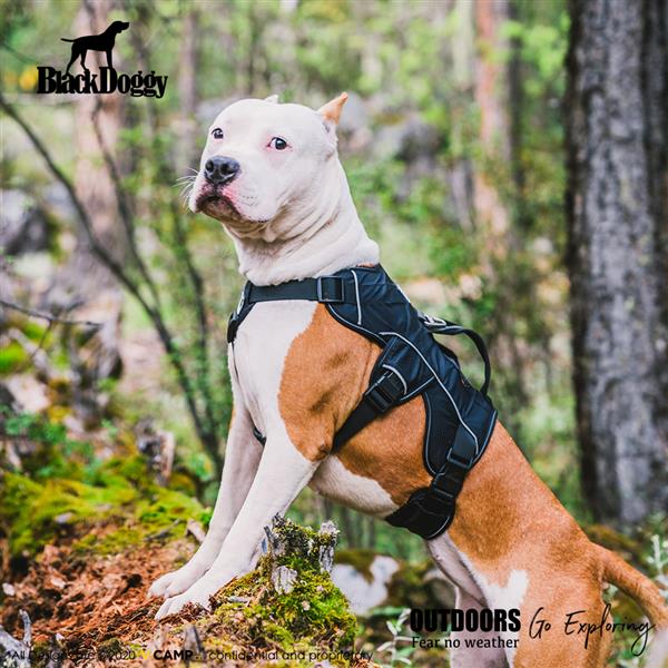 Professional Dog Harness Adjustable Pet Body Harness Vest Visible at Night Outdoo