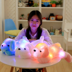 Plush Toy Dog Creative Light Colorful  gifts