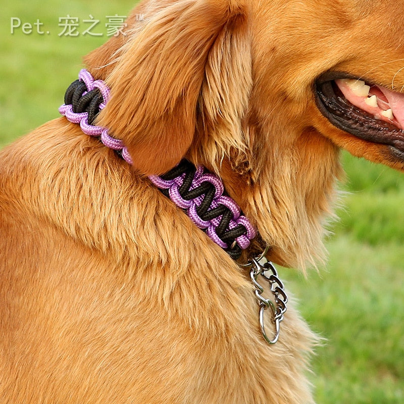 New High Quality Upgraded Color Dog Collar