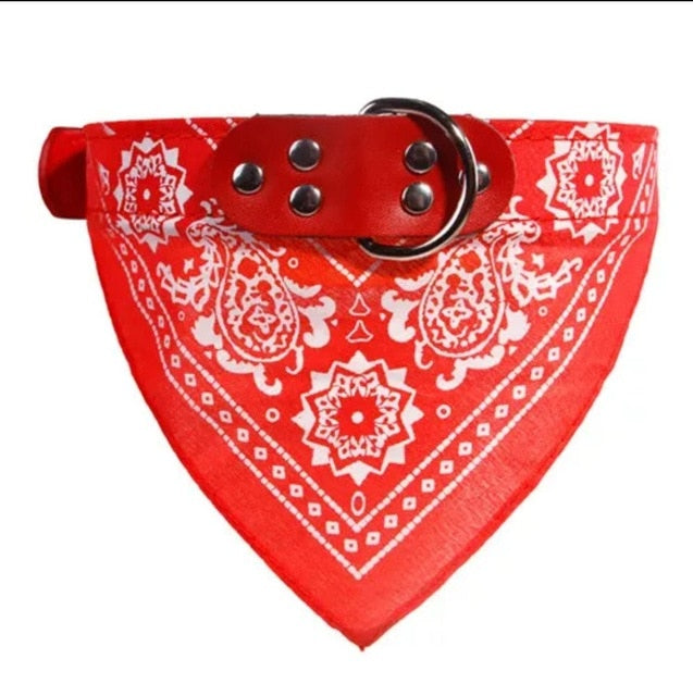 Cute and Functional Adjustable Small Dog Collars with Slobber Towel for Puppies and Cats