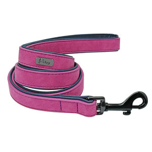 Personalized Leather Dog Collar