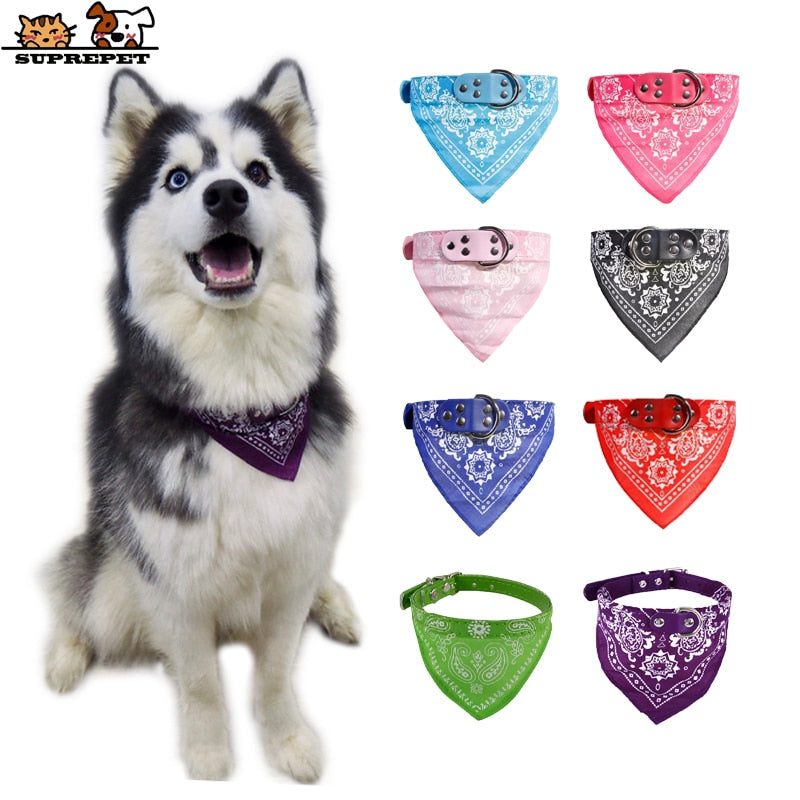 Cute and Functional Adjustable Small Dog Collars with Slobber Towel for Puppies and Cats