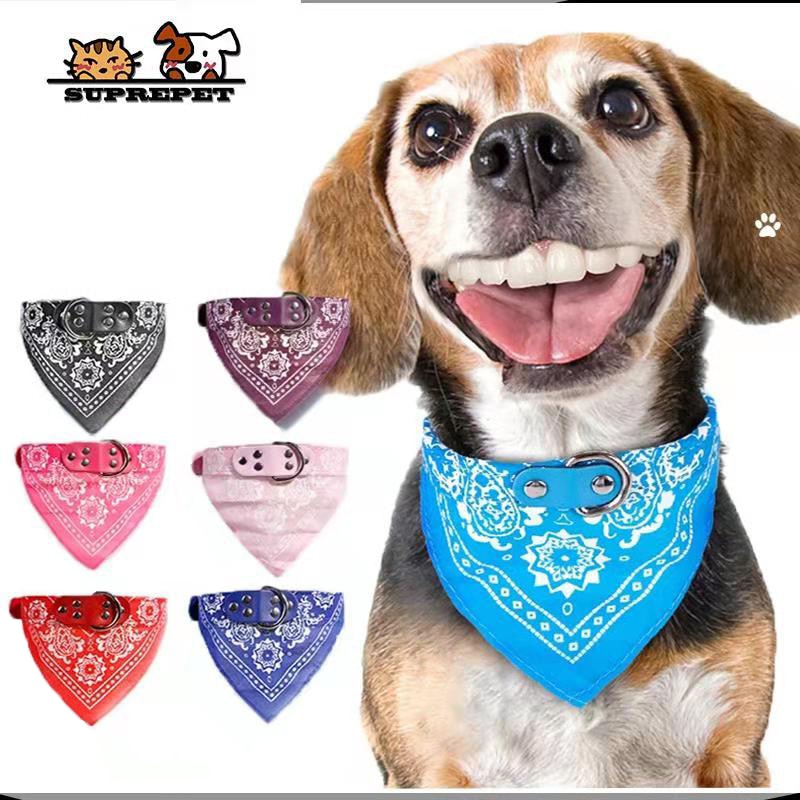 Cute and Functional Adjustable Small Dog Collars with Slobber Towel for Puppies and Cats