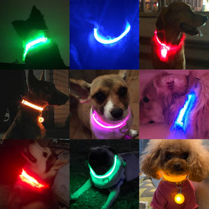 USB Charging Led Dog Collar Anti-Lost/Avoid Car Accident Collar For Dogs Puppies Dog Collars Leads LED Supplies Pet Products