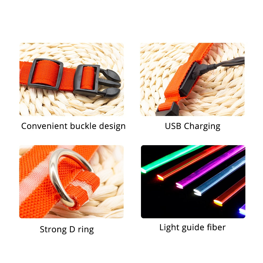 USB Charging Led Dog Collar Anti-Lost/Avoid Car Accident Collar For Dogs Puppies Dog Collars Leads LED Supplies Pet Products