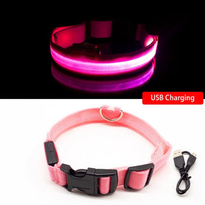 USB Charging Led Dog Collar Anti-Lost/Avoid Car Accident Collar For Dogs Puppies Dog Collars Leads LED Supplies Pet Products