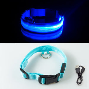 USB Charging Led Dog Collar Anti-Lost/Avoid Car Accident Collar For Dogs Puppies Dog Collars Leads LED Supplies Pet Products