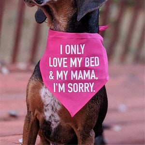 Personalised  I Only Love My Bed And My Mama I'm Sorry Dog Scarf