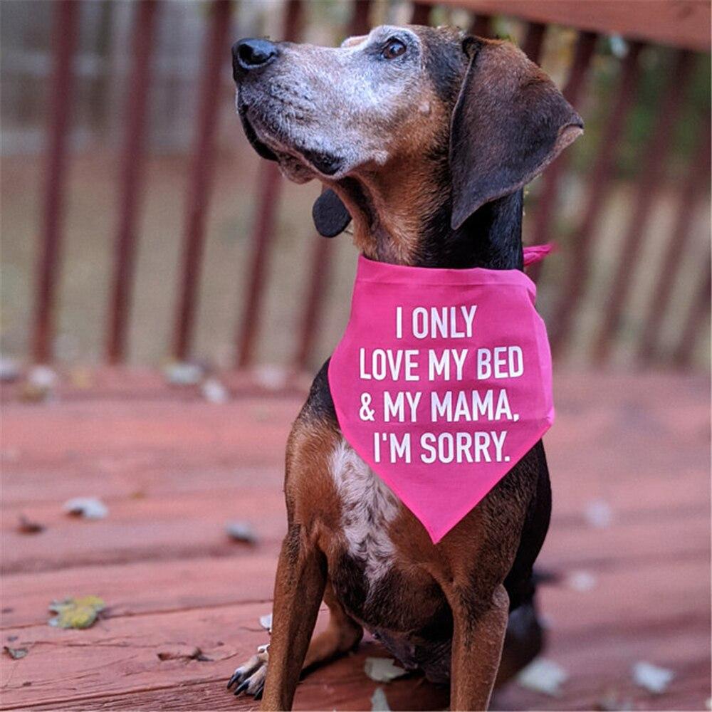 Personalised  I Only Love My Bed And My Mama I'm Sorry Dog Scarf