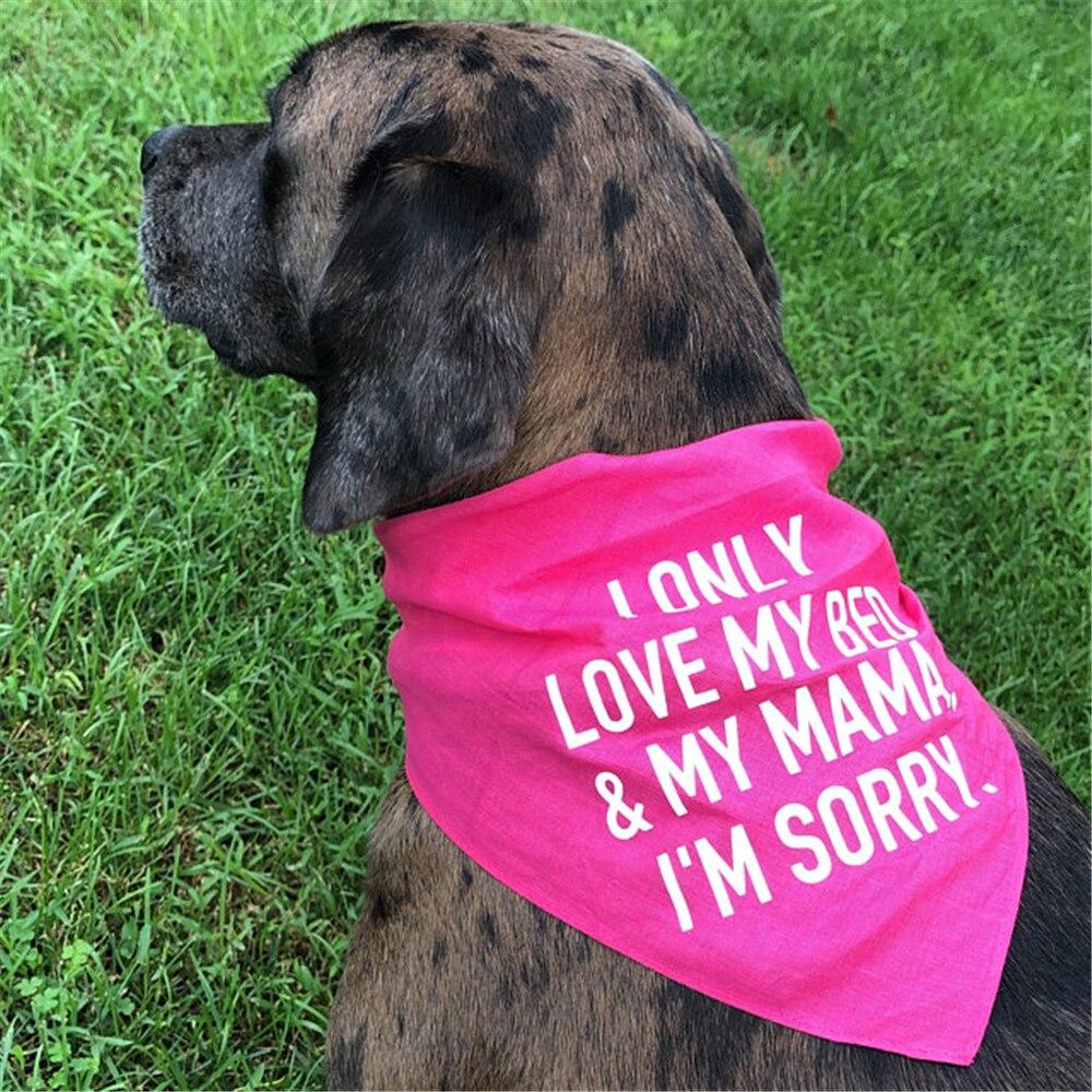 Personalised  I Only Love My Bed And My Mama I'm Sorry Dog Scarf